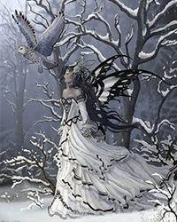 人，你可以在兔的胸膛里休息_金雪星